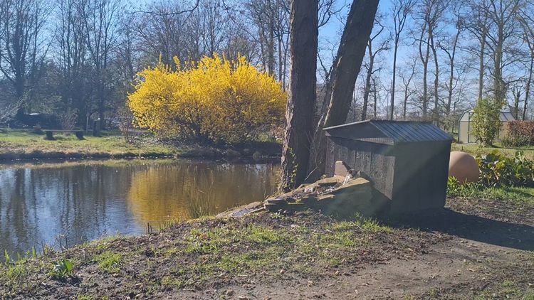 Frühjahr am Teich.jpg